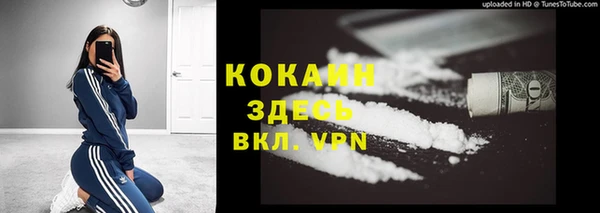 шишки Покров