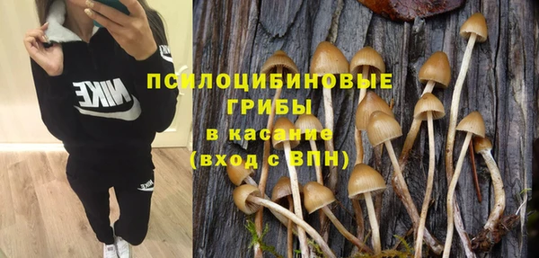 мяу мяу мука Армянск