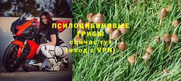 таблы Арсеньев