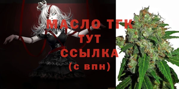 гидра Богородицк
