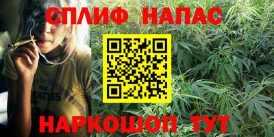 крисы Славянск-на-Кубани