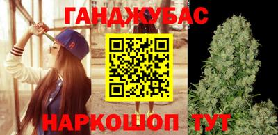крисы Славянск-на-Кубани