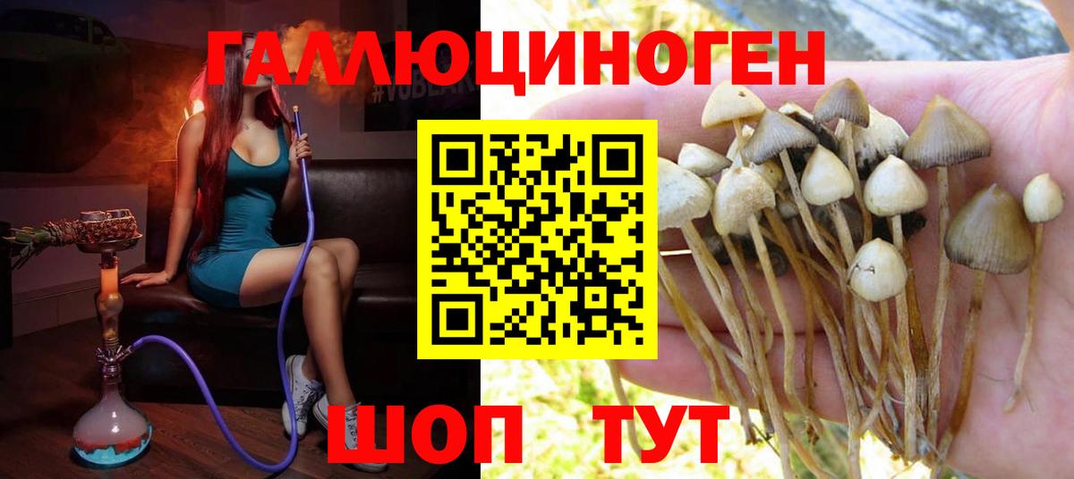 Галлюциногенные грибы Magic Shrooms Сорочинск