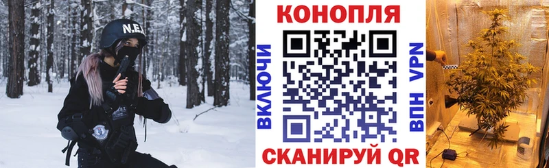 Шишки марихуана VHQ  Сорочинск 